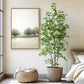 Artificial Ficus Tree & Planter