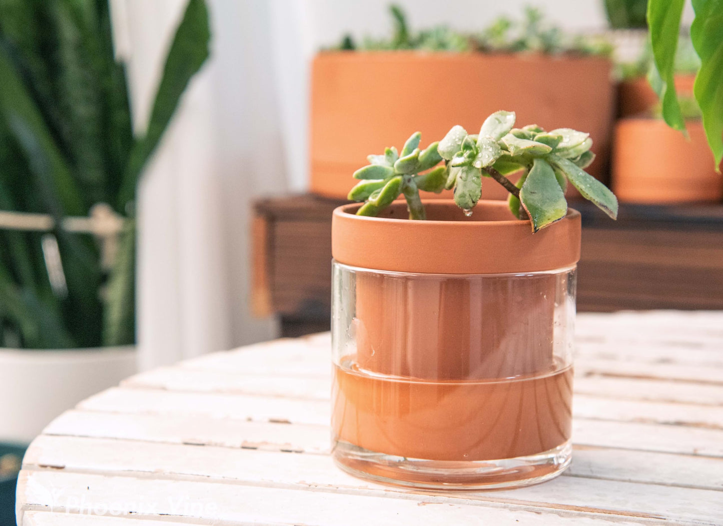 Self Watering Planter Pot Terracotta and Glass