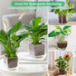 Organic Expanded Clay Pebbles for Plants | Leca