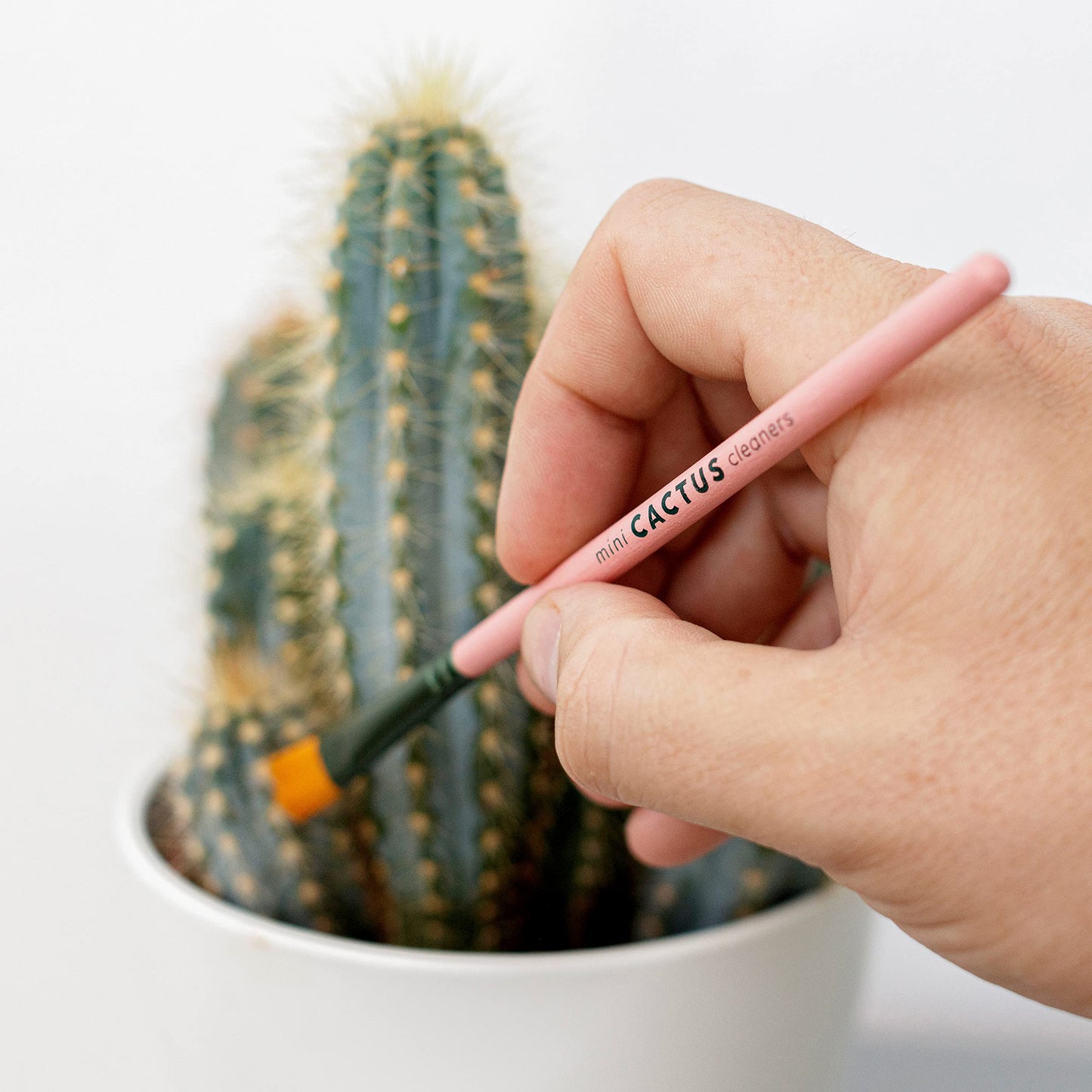 Mini Cactus Brush Set