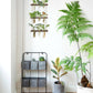 Wall Hanging Plant Propagation Station