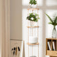 Hanging Plant Shelf