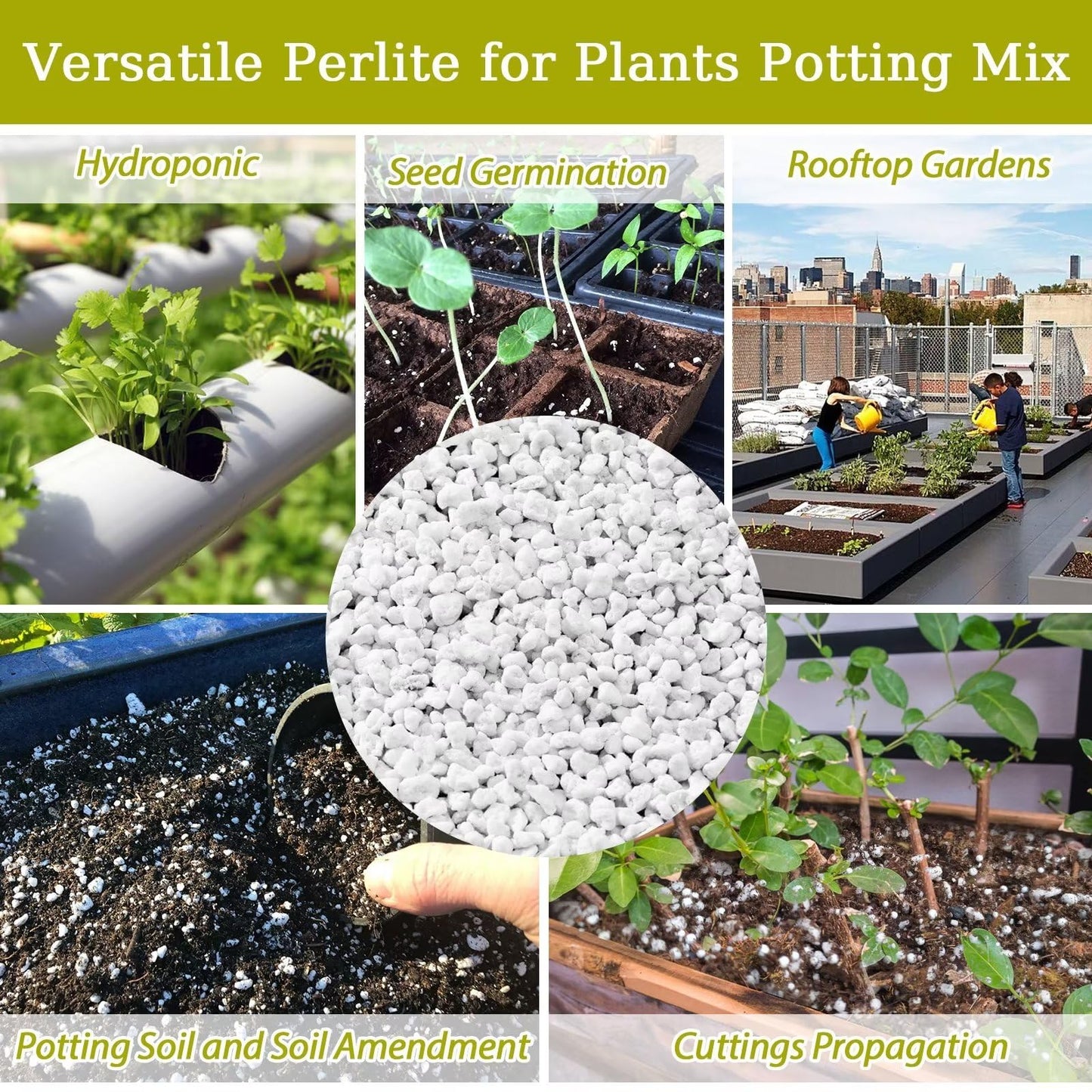 Organic Perlite | Horticultural Natural Chunky