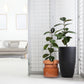 Self Watering Planter Pot Terracotta and Glass