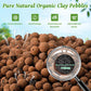 Organic Expanded Clay Pebbles for Plants | Leca