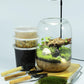 Terrarium Kit/Supplies Terrarium Plants Set with Grow Light, for Succulents Miniature Gardening, Include Terrarium jar Tool Set Live Moss Rocks Soil Driftwood and Decor, for Plant Lovers