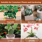 Organic Perlite | Horticultural Natural Chunky