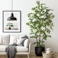 Artificial Ficus Tree & Planter