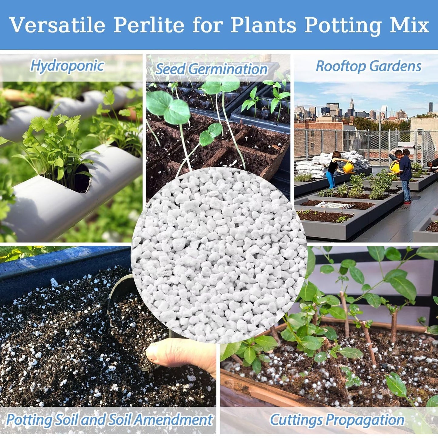 Organic Perlite | Horticultural Natural Chunky