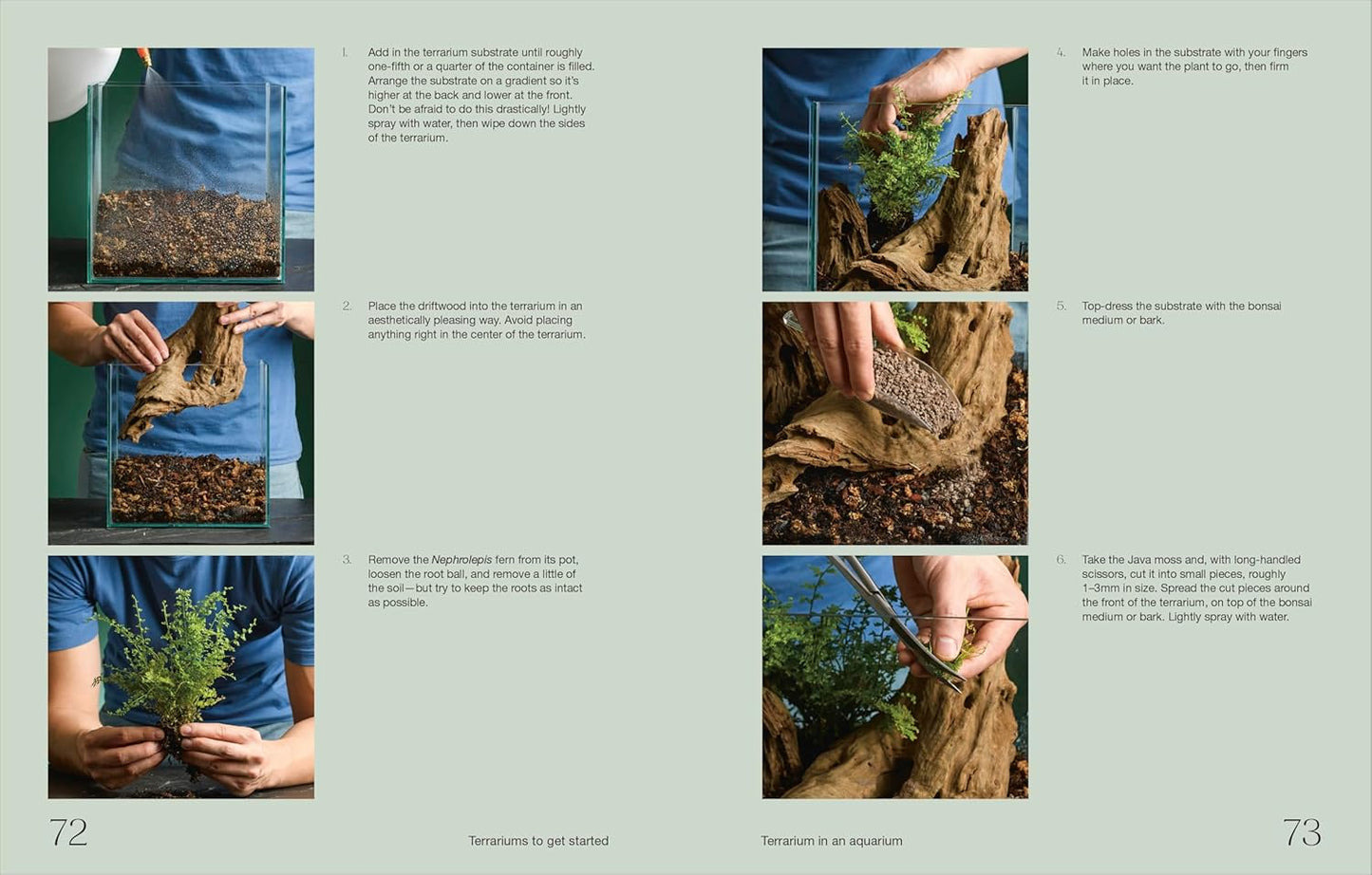 Creating a Terrarium Book