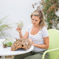 DIY Natural Cork Bark with Air Plants Kit
