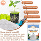 Organic Perlite | Horticultural Natural Chunky