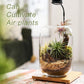 Terrarium Kit/Supplies Terrarium Plants Set with Grow Light, for Succulents Miniature Gardening, Include Terrarium jar Tool Set Live Moss Rocks Soil Driftwood and Decor, for Plant Lovers