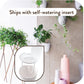 Self-Watering Wall Planter Set