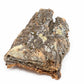DIY Natural Cork Bark with Air Plants Kit