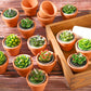 Succulent Cactus 18ea Tealight Candles