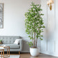 Artificial Ficus Tree & Planter