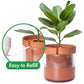 Self Watering Planter Pot Terracotta and Glass