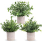 Mini Potted Artificial Plants - 3 pack