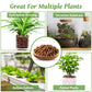 Organic Expanded Clay Pebbles for Plants | Leca