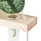Wall Hanging Plant Propagation Station