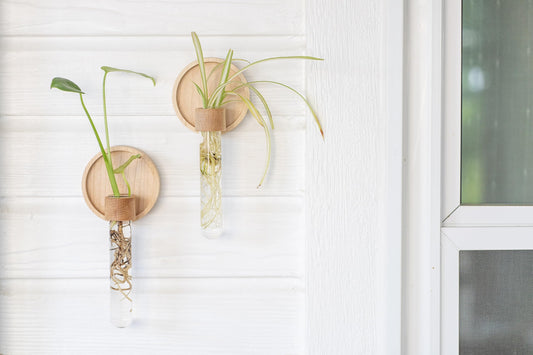 Maple Wood Propagation Wall Vases