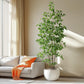 Artificial Ficus Tree & Planter