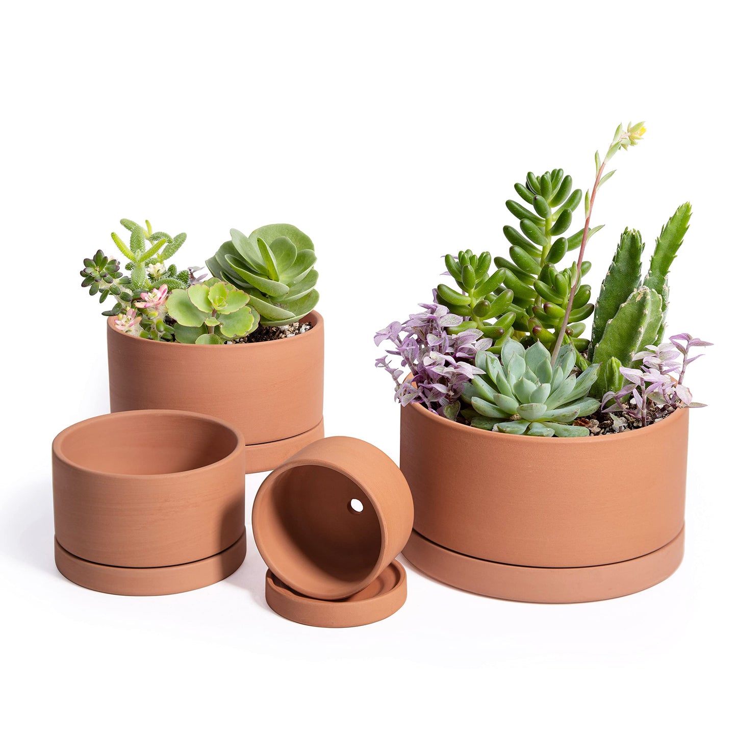 Terracotta Shallow Planter Set