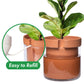 Self Watering Planter Pot Terracotta and Glass