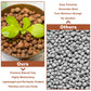 Organic Expanded Clay Pebbles for Plants | Leca