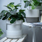 Self Watering Planter Pot Terracotta and Glass