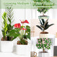 Organic Expanded Clay Pebbles for Plants | Leca