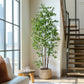 Artificial Ficus Tree & Planter