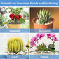Organic Perlite | Horticultural Natural Chunky
