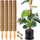 Stackable Moss Pole Pack