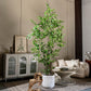 Artificial Ficus Tree & Planter