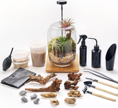 Terrarium Kit/Supplies Terrarium Plants Set with Grow Light, for Succulents Miniature Gardening, Include Terrarium jar Tool Set Live Moss Rocks Soil Driftwood and Decor, for Plant Lovers