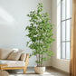Artificial Ficus Tree & Planter