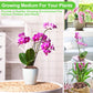 Organic Expanded Clay Pebbles for Plants | Leca