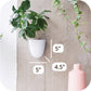 Self-Watering Wall Planter Set