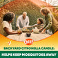 OFF! Backyard Citronella Scented Candle