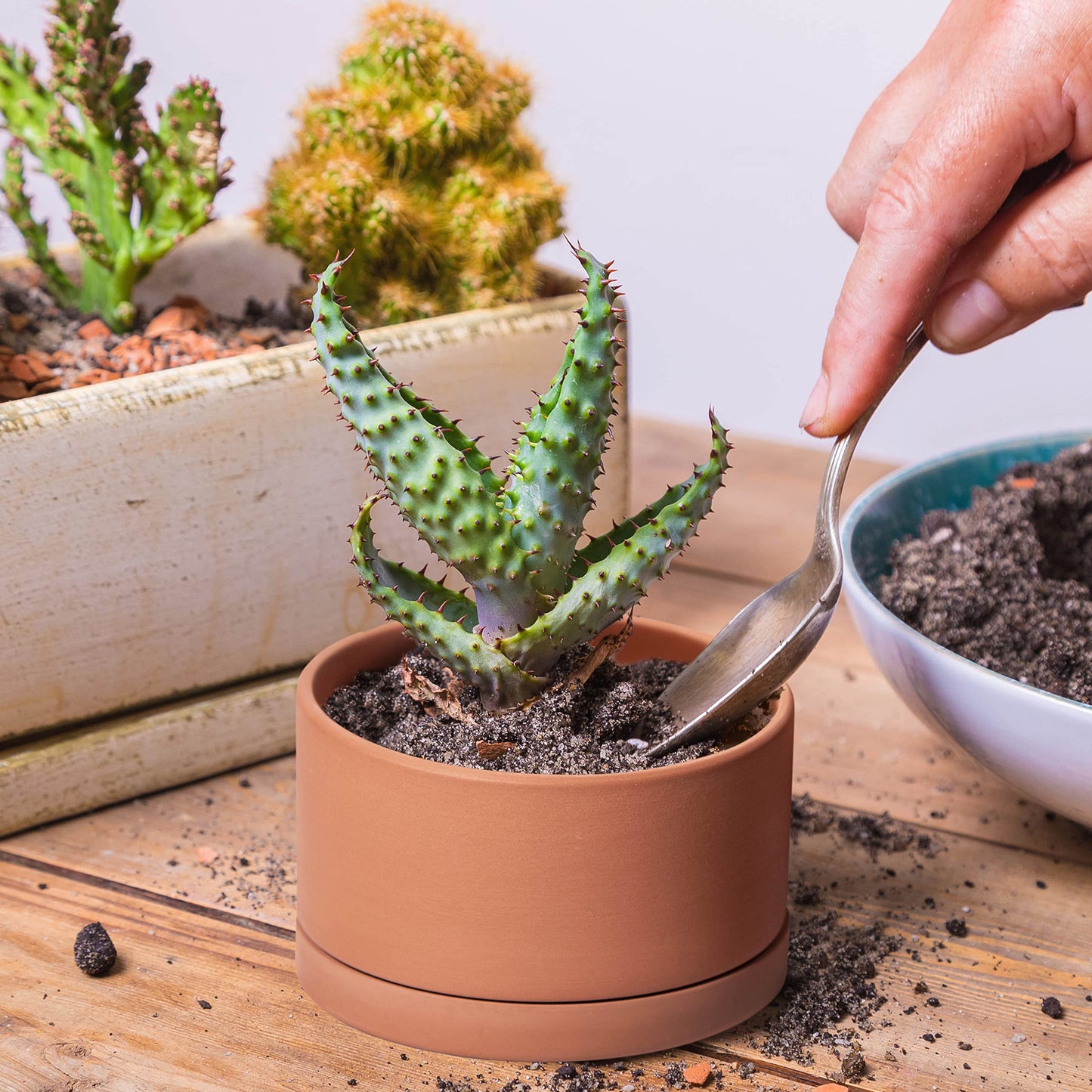 Terracotta Shallow Planter Set