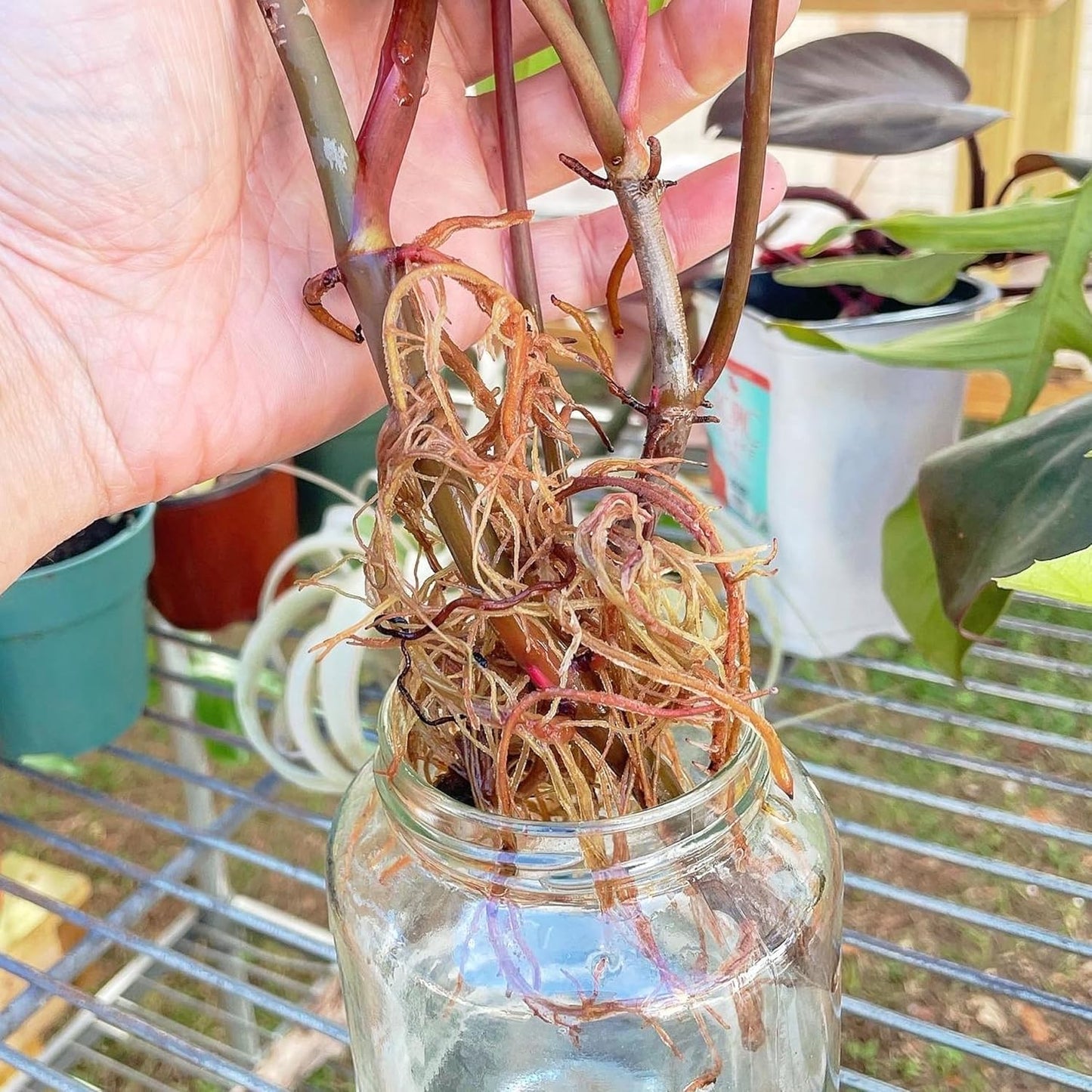 Prop Drops