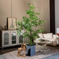 Artificial Ficus Tree & Planter