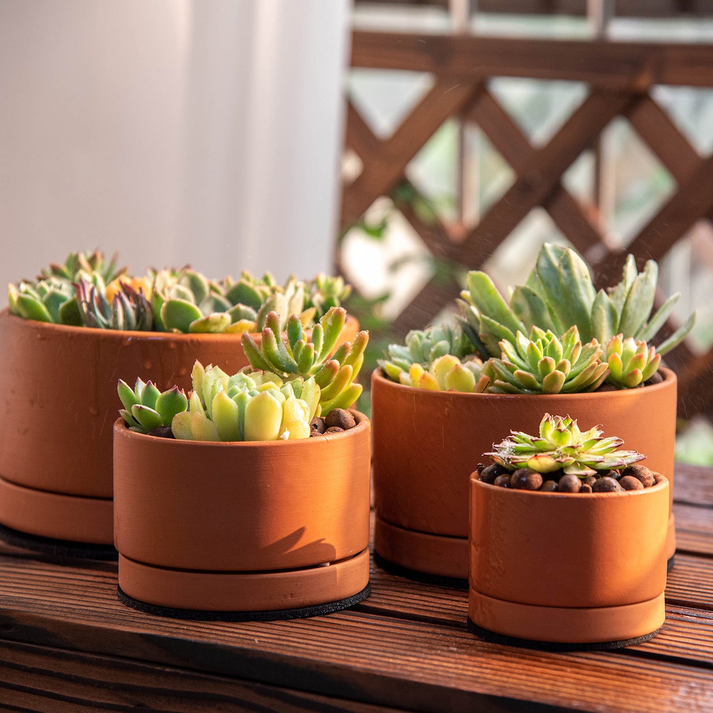 Terracotta Shallow Planter Set