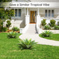 Large Artificial Agave Plant