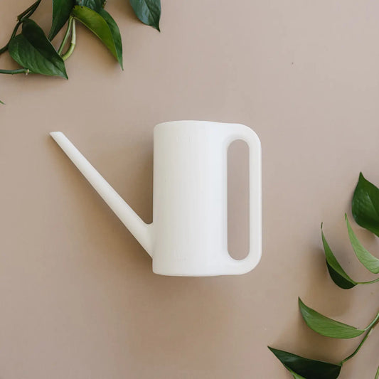 White Watering Can