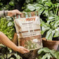 Premium Houseplant & Aroid Potting Mix