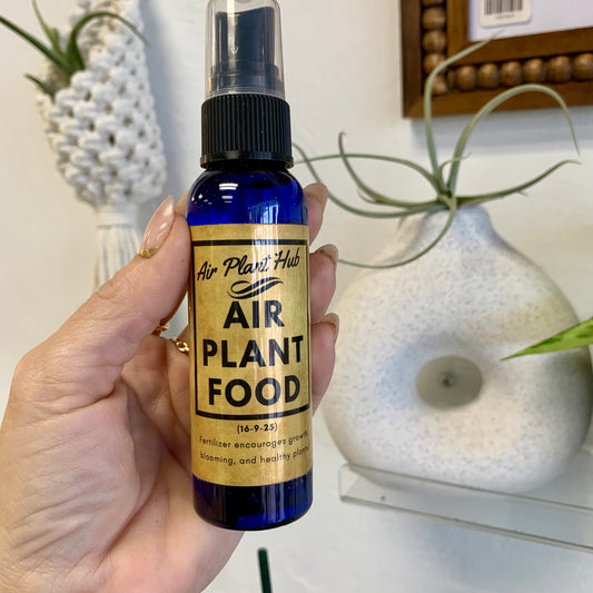Air Plant Food