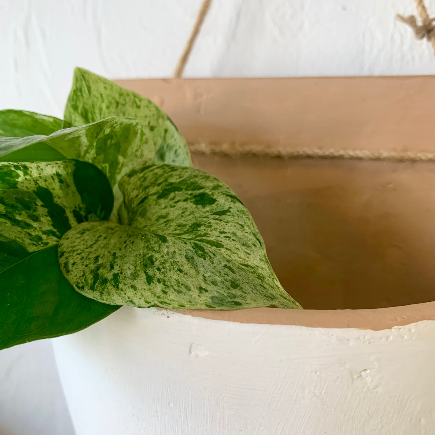 Clay Wall Hanging Planter